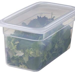 Cambro (36PP190) Third-Size Translucent Food Pan