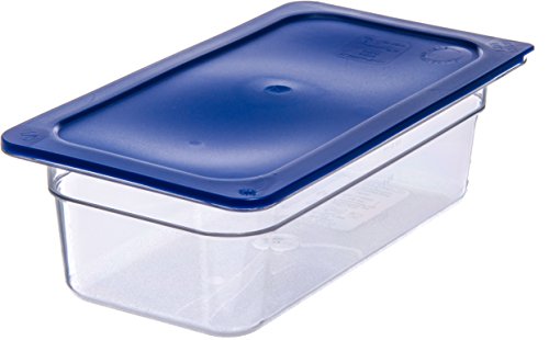 Carlisle FoodService Products Plastic Food Pan 1/3 Size 4 Inches Deep Clear (Pack of 6)