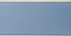 Carlisle FoodService Products CM1100C1402 Coldmaster CoolCheck 6" Deep Full-Size Insulated Cold Food Pan, 15 Quart, Color Changing, White/Blue