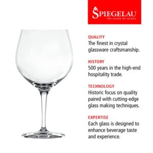 Spiegelau Special Gin and Tonic Glasses Set of 4 - European-Made Crystal, Modern Cocktail Glassware, Dishwasher Safe, Professional Quality Cocktail Glass Gift Set - 21 oz