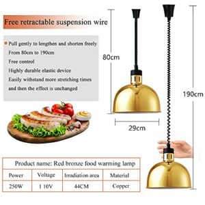 JIAWANSHUN Food Warmer Lamp Food Heat Lamp/Bulb 250W φ290mm Cafeteria Food Warmer Commercial Food Warmer Restaurant Supplies or Home Use Food Service Retractable Heat Lamps(Golden)