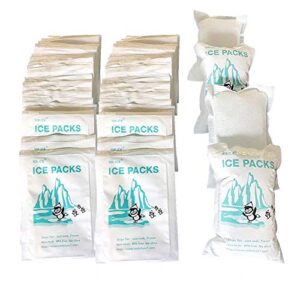 shipping ice packs reusable small dry ice pack sheets 48 pcs, ice pack for shipping frozen food keep food fresh and beverage cold, frozen gel packs ice brix for coolers, 3.5 oz capacity, 4.7" x 3.3"