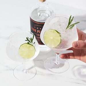 Viski Angled Stemmed Gin & Tonic Glasses, Highball glasses, Cocktail Glasses, Vodka Tonic Glasses, Gin Glasses for Gin Lovers Gift set of 2, 14oz, Clear