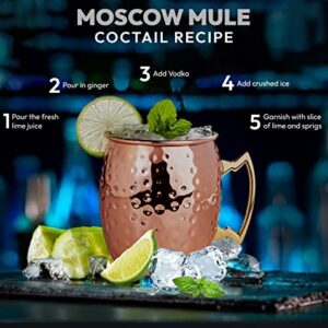 ARTISANS VILLAGE Moscow Mule Mugs | Set of 4 | Stainless Steel Lining | Pure Copper Plating | 100% Handcrafted Hammered Cups | Size 16 oz | With Premium Straws and Shot Glass