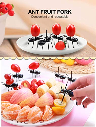 Ant Toothpicks Fruit Dessert Fork (24Pcs) – OOTSR Reusable Ant Food Pick Animal Appetizer Forks for Snack Cake Dessert with Storage Box for Kitchen Baby Shower Wedding Birthday Party