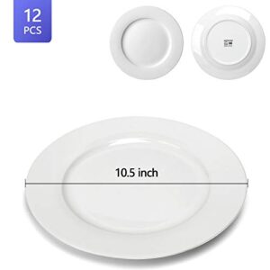 amhomel 12-Piece White Porcelain Dinner Plates, Round Dessert or Salad Plate, Serving Dishes, Dinnerware Sets, Scratch Resistant, Lead-Free, Microwave, Oven and Dishwasher Safe (10.5-inch)