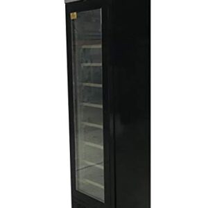 Commercial Freezer Glass 1-door 17" 105L Upright Narrow NSF -15°F to 5°F slim display merchandiser restaurant SD-105B