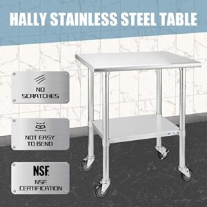 Hally Stainless Steel Table for Prep & Work 24 x 30 Inches with Caster Wheels, NSF Commercial Heavy Duty Table with Undershelf and Galvanized Legs for Restaurant, Home and Hotel