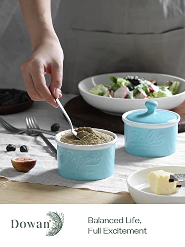 DOWAN Salt and Pepper Bowls, 9 OZ Salt and Pepper Cellar, Salt & Pepper Shakers Set of 2, Stacking Ceramic Salt and Pepper Container with Lid, Salt Keeper, Adorable Decorative Mason Décor, Turquoise