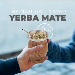 BALIBETOV Stainless Steel Double-Wall Mate Cup And Bombilla Set - Yerba Mate set Includes One Yerba Mate Cup, 2 Bombillas Mate (Straw) & Brush - Easy to Clean (Wood)