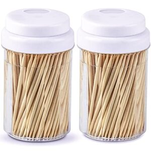 DecorRack 2 Pack Toothpick Dispensers with 600 Natural Bamboo Toothpicks, Plastic Holder (Pack of 2)