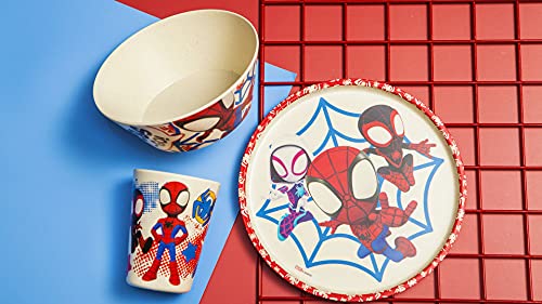 Zak Designs Marvel Spider-Man Dinnerware Set for Kids Includes 8" Plate, 6" Bowl, and 10oz Tumbler, Durable and Sustainable Melamine Bamboo Material (3-Piece Set, Spidey and His Amazing Friends)