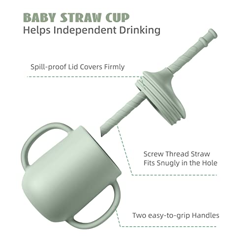 CSFICTS Baby Led Weaning Supplies - Silicone Baby Feeding Set - Suction Bowl Divided Plate Straw Sippy Cup - Toddler Self Feeding Eating Utensils Dishes Set with Bibs Spoon Fork - 6 Months