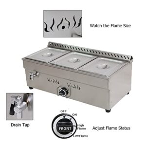 HayWHNKN 3-Pan LP Gas Food Warmer Propane Steam Table Stainless Steel Bain Marie Buffet for Parties (with Gas Regulator Valve) 1/2 * 4”