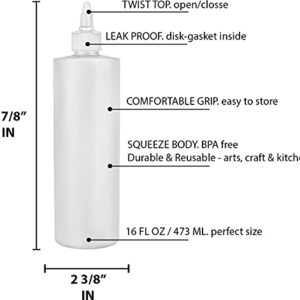 BRIGHTFROM Condiment Squeeze Bottles, 16 OZ Empty Squirt Bottle with Twist Top Cap, Leak Proof - Great for Ketchup, Mustard, Syrup, Sauces, Dressing, Oil, Arts and Crafts, BPA FREE Plastic - 2 PACK