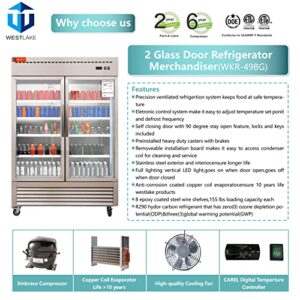 WESTLAKE 54" W Commercial Display Refrigerator 2 Glass Door Merchandiser 2 Section Stainless Steel Reach-in Glass Door Upright Fan Cooling 49 Cu.ft Cooler for Restaurant, Bar, Shop, etc