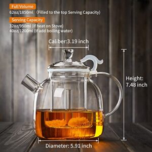 DOPUDO GRANDEUR Glass Teapot, 1850ml/ 62oz Glass Kettle with Removable Infuser, Borosilicate Glass Tea Pot for Stovetop, Loose Leaf and Blooming Tea Maker