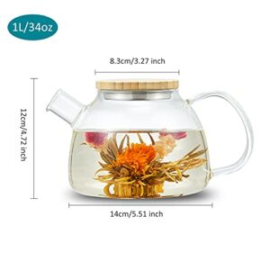 34oz/1000ml Glass Teapot with Glass Tea Infusers, Glass Tea Kettle for Loose Tea, with Removable Clear Infusers for Blooming Flower Tea, Ideal Tea Sets for Women, Tea Maker Gift