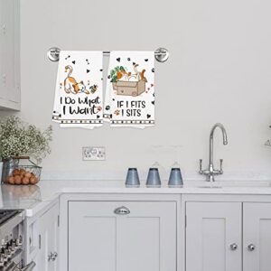 Hexagram Cat Funny Kitchen Towels Decorative Set of 4-Cat Lover Gifts for Women-Cat Lover Owners Mom Gifts-Housewarming Gifts-Cat Hand Towels for Kitchen-Cute Dish Towels-Tea Towel-Cat Kitchen Decor