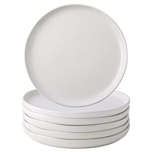 amorarc ceramic dinner plates set of 6, wavy rim 10.5 inch stoneware dish set, large dinnerware plates for kitchen-microwave&dishwasher safe, scratch resistant-reactive glaze matte white