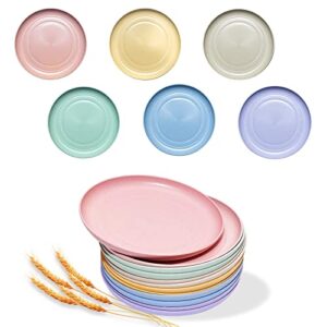 shecipin 12 pack 6 inches lightweight mini wheat straw plates,reusable plate set dishwasher & microwave safe,unbreakable deep dinner plates, plastic plates reusable,they are easy to clean bpa free