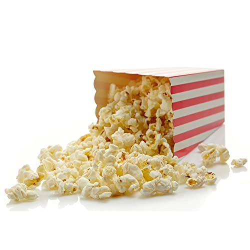 24 Pcs Popcorn Boxes Mini Paper Popcorn Box Cardboard Popcorn Container for Party, White/Red Stripes