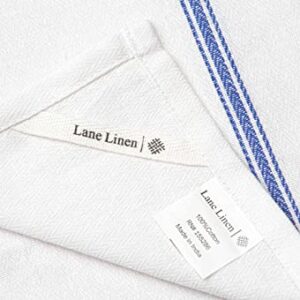 LANE LINEN Kitchen Towels Set - 100% Pure Cotton Dish Towels for Kitchen, Super Absorbent Kitchen Hand Towel, Blue Tea Towels, Soft & Durable Dish Cloths, Pack of 12 – 15”x25”, Blue Stripe