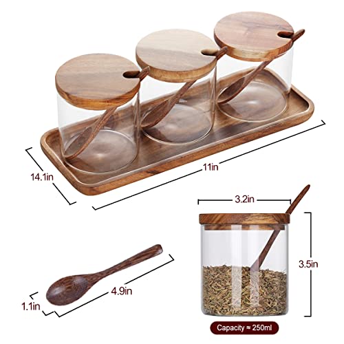 3 Pack 250ml / 8.5oz Clear Glass Seasoning Jar with Wooden Lid and Spoon, Adorable Sugar Bowl Bath Salt Storage Container, Kitchen Pepper