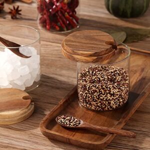 3 Pack 250ml / 8.5oz Clear Glass Seasoning Jar with Wooden Lid and Spoon, Adorable Sugar Bowl Bath Salt Storage Container, Kitchen Pepper