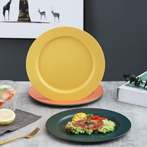 Kyraton 10 Inch Large Plastic Plates 8 Pieces, Dishwasher Safe, Unbreakable And Reusable Light Weight Dinner Plates Microwave Safe BPA Free (Mutil Color)