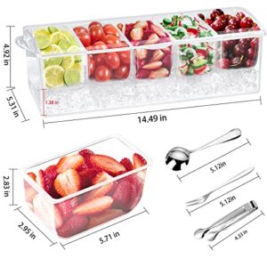 [Stainless Steel] 5 Spoons, 5 Forks and 1 Clip, Condiment Tray, Condiment Server, Caddy, Bar Garnish Holder on ice,Bar Accessories Fruit and Salad with Removable Trays with lid