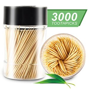 trtrin [3000 count 100% natural bamboo toothpicks - with 1 piece reusable toothpick holder, sturdy and smooth toothpicks for parties, appetizers, olives, bbq, fruit and teeth cleaning, black.