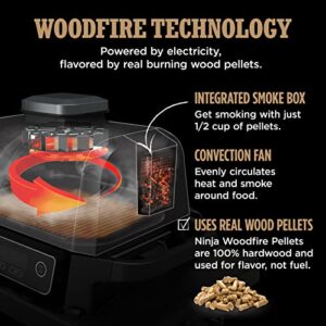 Ninja OG701 Woodfire Outdoor Grill & Smoker, 7-in-1 Master Grill, BBQ Smoker, & Air Fryer plus Bake, Roast, Dehydrate, & Broil, uses Ninja Woodfire Pellets, Weather-Resistant, Portable, Electric, Grey