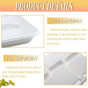 Vmiapxo 50 Pack Natural Bagasse Fiber Paper Food Trays,10"x 8",5 Compartment Dinner Tray School Lunch Divided Paper Plates Holders Buffet Party Serving Supplies (White)