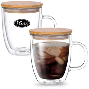 wwyybfk double wall glass coffee mugs, 16oz insulated glass espresso mugs cups with handle lid (set of 2) for cappuccino, latte,tea (455ml)