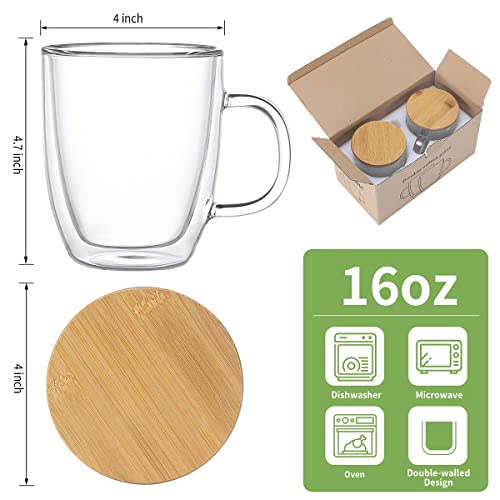 Wwyybfk Double Wall Glass Coffee Mugs, 16oz Insulated Glass Espresso Mugs Cups with Handle Lid (Set of 2) for Cappuccino, Latte,Tea (455ml)