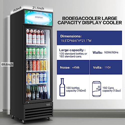 BODEGACOOLER Commercial Merchandiser Refrigerator, Glass Door Display Refrigerator,Upright Beverage Display Cooler with Soft LED Light, Adjustable Shelves and Drink Organizers, 9 Cu. Ft,Black