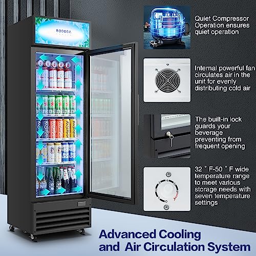 BODEGACOOLER Commercial Merchandiser Refrigerator, Glass Door Display Refrigerator,Upright Beverage Display Cooler with Soft LED Light, Adjustable Shelves and Drink Organizers, 9 Cu. Ft,Black