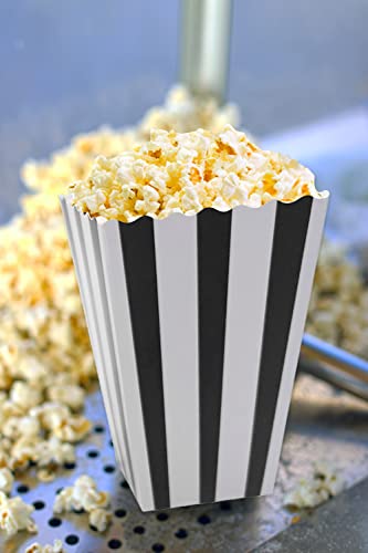 Jaojaopn 4.5 x 2.75 Mini Popcorn Boxes, Striped Popcorn Containers, Snack Container Set for Movie Night or Various Party Themes. 24 pcs(black and white)