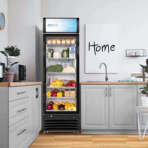 COTLIN Commercial Merchandiser Refrigerator with LED Lighting Single Glass Door, 9.0 Cu Ft Upright Display Beverage Cooler with Extra Shelves Drink Holders, ETL NSF Approved