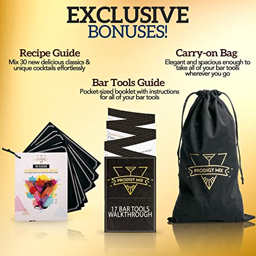 The Complete Mixology Bartender Kit 20-Piece Boston Cocktail Shaker Set - Premium Bar Accessories & Tools Set, Bonus Velvet Bag & Recipe Cards, Stainless Steel Drink Mixer (Gunmetal-Black, 20-Piece)