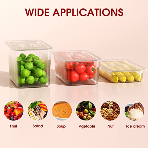 WantJoin 1/9 Size Plastic Clear Food Pans with Lids,6 Pack 2.5 Inch Restaurant Food Storage Containers with Handle,Stackable Polycarbonate Hotel Pans