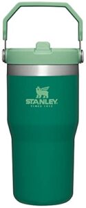 stanley iceflow stainless steel tumbler with straw - vacuum insulated water bottle for home, office or car - reusable cup with straw leakproof flip - cold for 12 hours or iced for 2 days (alpine)
