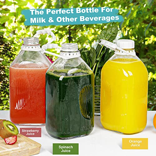 4 Pack 64 Oz Heavy Duty Glass Milk Bottle with Reusable Airtight SCREW LID, 2 Qt Glass Water Bottle with 2 Exact Scale Lines - Glass Milk Jug Pitcher - 1/2 Gal Juice Bottles(Extra 2 Lid AND 6 Handle)