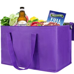 Insulated Reusable Grocery Bag,Insulated Food Delivery Bag, Durable, Heavy Duty, Large Size, Stands Upright, Collapsible, Sturdy Zipper, Reusable and Sustainable Tote Bag, Lightweight Medium Suitable for DIY, Advertising, Promotion, Gift, Activity