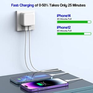 10FT iPhone Charger Fast Charging,40W USB C Fast Charger iPhone[Apple MFI Certified]2Pack 10foot TypeC to Lightning Cable Dual Port Apple Fast Charger Power Adapter for iPhone14/13/12/11/XS/XR/SE/iPad