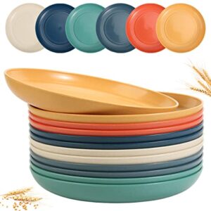 sgaofiee 12 pack 9 inch lightweight wheat straw plates, microwave and dishwasher safe bpa free and healthy wheat straw plates, unbreakable deep dinner plates