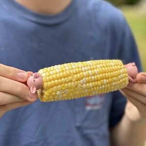 Outset Piglets Corn Holders, 1” x 2.5” x 1”, Pink