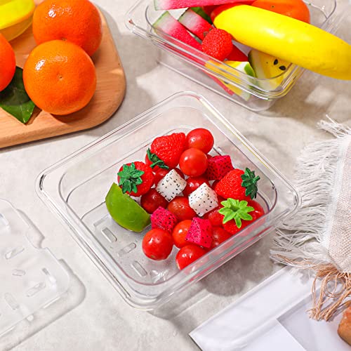 Zubebe 6 Pcs Plastic Drain Shelf for Size Food Pan Clear Plastic Grate Acrylic Food Drain Trays for Kitchen Restaurant Hotel (1/6)