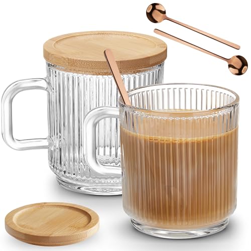 Mfacoy 2 PACK Glass Coffee Mugs with Handle & Spoon, 12 OZ Glass Coffee Cups with Bamboo Lid, Ribbed Glass Cups, Clear Tea Cup for Hot/Cold Beverages, Glassware Set for Americano, Latte, Cappuccino